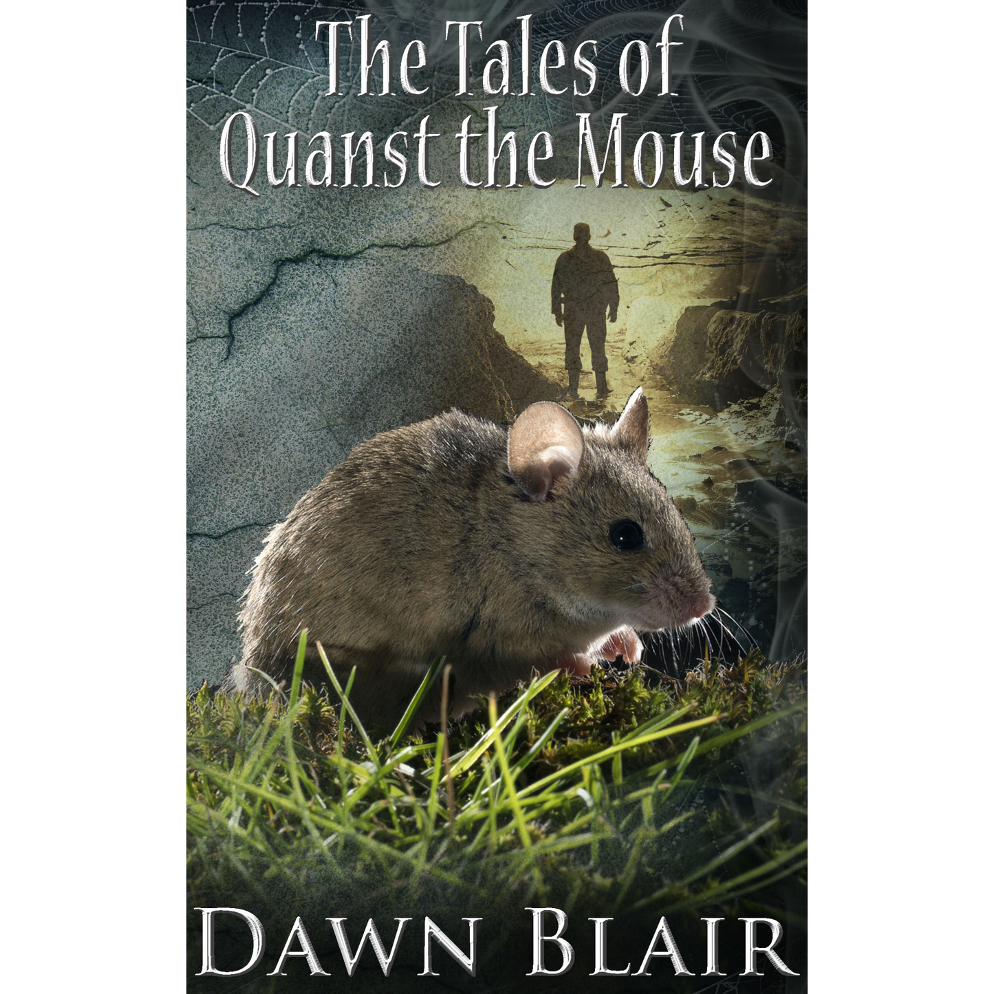 The Tales of Quanst the Mouse
