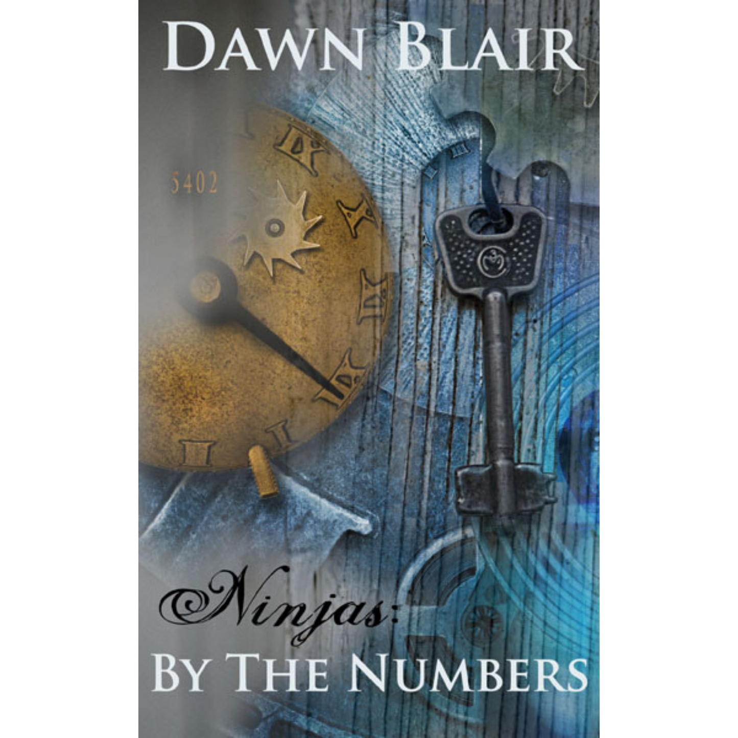 By the Numbers (ebook)