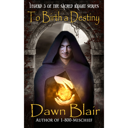 To Birth a Destiny (Legend 3 of the Sacred Knight series)